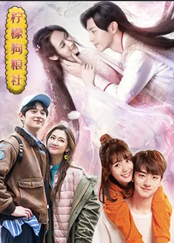 当狗狗成为情感寄托：《柠檬狗粮社》治愈你的不开心！